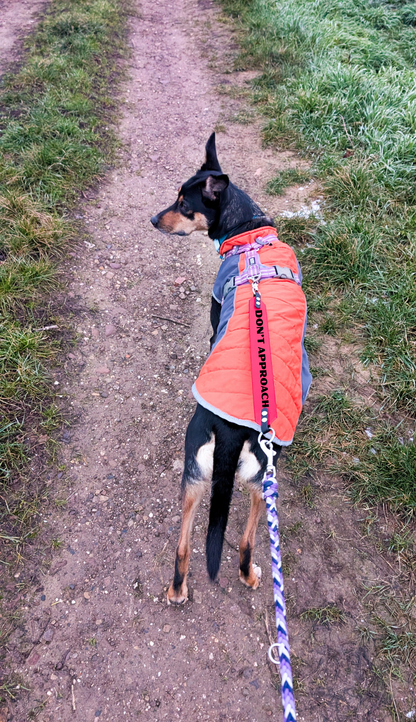 LettingYouKnow® - Leash Label