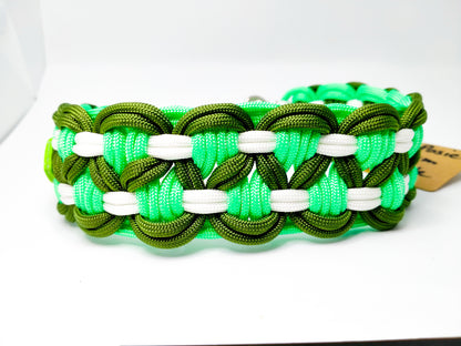 Dog Collar - Sadie's Posie