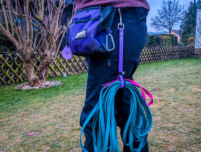 BioThane 3-in-1 Multi Use Traffic Lead & Handle