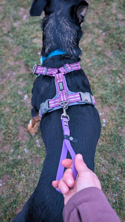 BioThane 3-in-1 Multi Use Traffic Lead & Handle