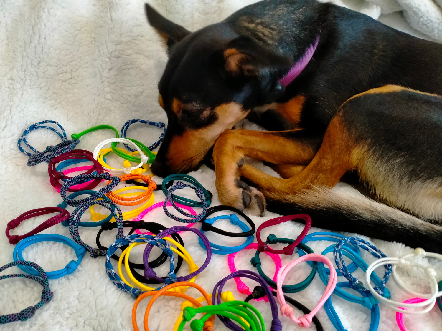 Whelping Collars / Puppy ID Collars Kim & Milly's Cords 4 Paws Paracord Handmade Dog Accessories Customizable Made in Germany Shipping worldwide